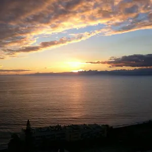 Shearwaters - Sounds Of The Sea Funchal (Madeira)